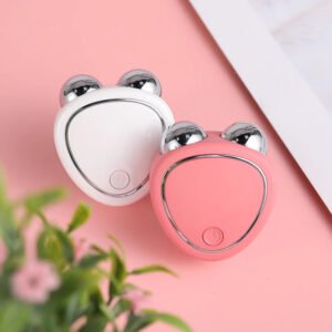 Double Roller Massager For Face
