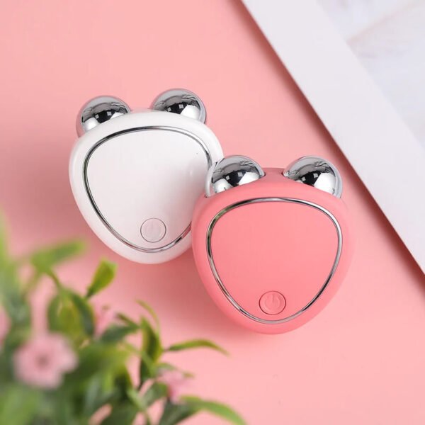 Double Roller Massager For Face