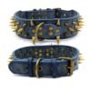 Spike Rivet Dog Collar