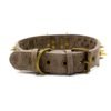 Spike Rivet Dog Collar